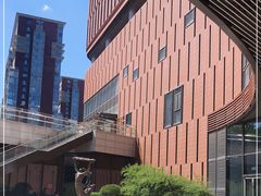 -中国宋庆龄青少年科技文化交流中心