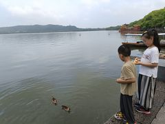 -西湖游船