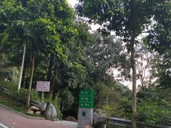 -火炉山森林公园