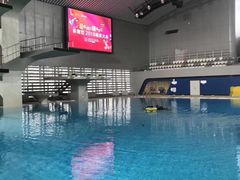 -黄龙魔方运动培训·棒球·橄榄球