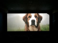 -新影联鸿泰影城