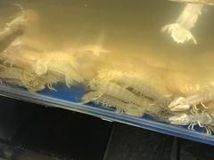 -广记海鲜(杨汊湖一店)