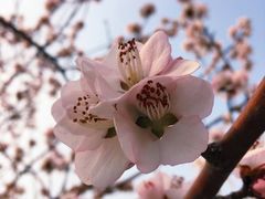 -颐和园