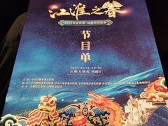 -合肥大剧院