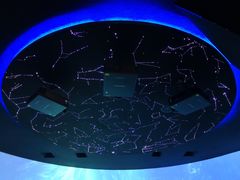 -贝林大翅鲸简餐厅(国家海洋博物馆店)