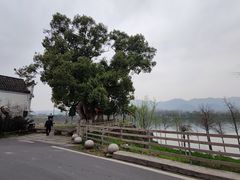 -东梓关景区村庄