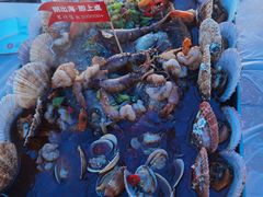 -大锅强·蒸海鲜青岛菜(金沙滩店)