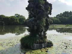 -西湖外事游船(花港观鱼码头)