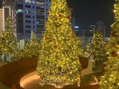 -城市露台景观餐厅(淮海路店)