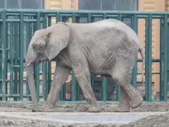 -哈尔滨北方森林动物园