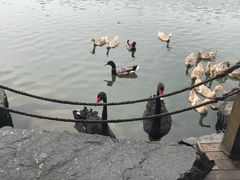 -上海怡沁园度假酒店