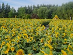 -长春公园(普阳街道)