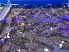 -澜悦港海鲜体验主题餐厅
