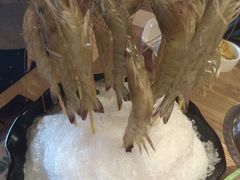 明虾-尚海豆捞(乐虹坊店)