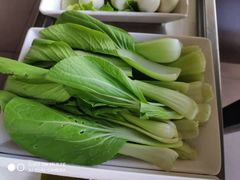 -野妹火锅(龙岗店)