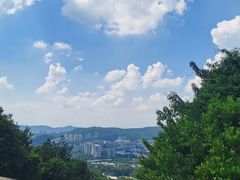 -火炉山森林公园