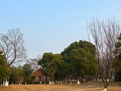 -七桥瓮公园