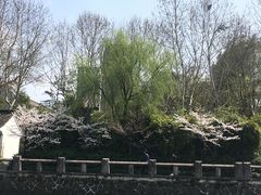 -运河游船(武林门码头)