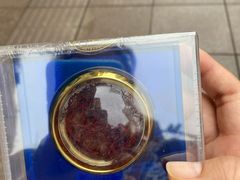 -上海市第一医药商店(南京东路店)