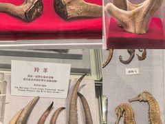 -北京中医药大学-中医药博物馆