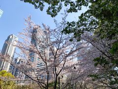 -陆家嘴中心绿地