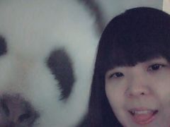 -成都大熊猫繁育研究基地