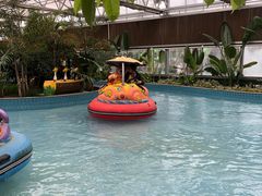 -南宫五洲植物乐园