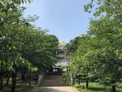 -苏州上方山国家森林公园
