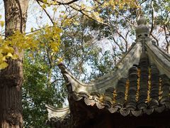-秋霞圃