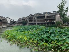 -龙潭水乡