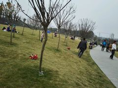 -两河城市森林公园