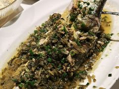 -顶特勒·黄鱼馆·特色菜(上海大世界店)