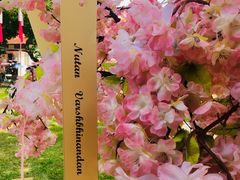 -槟城街头艺术街区