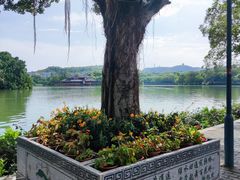 -惠州西湖