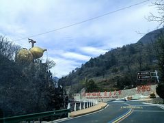 -秦岭天竺山景区