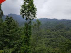 -青城山