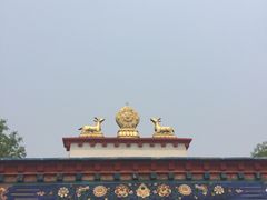 -武清南湖绿博园