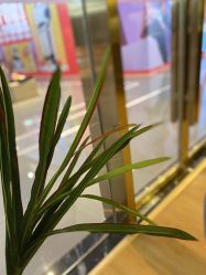 -栖SPA·ONDA ·海菲秀·皑皑科技美肤中心