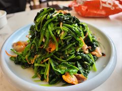 -老苏扬饭店