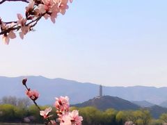 -颐和园