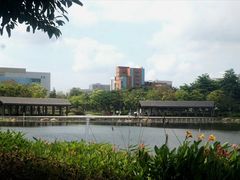 -映月湖公园