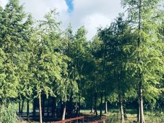 -梁鸿国家湿地公园