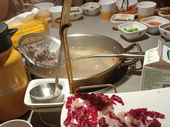 -潮发潮汕牛肉店(东方宝泰店)
