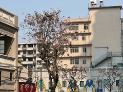 -丽的面家(多宝路店)