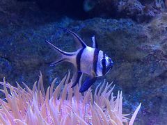 -成都浩海立方海洋公园