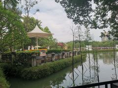 -广东仲元中学