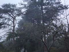 -庐山风景区花径公园