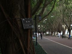-南宁南湖公园