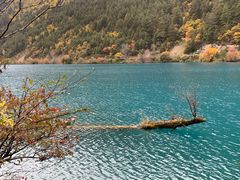 -如意林卡藏餐吧 (九寨沟店)