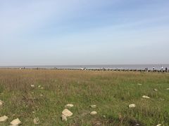 -南汇嘴观海公园